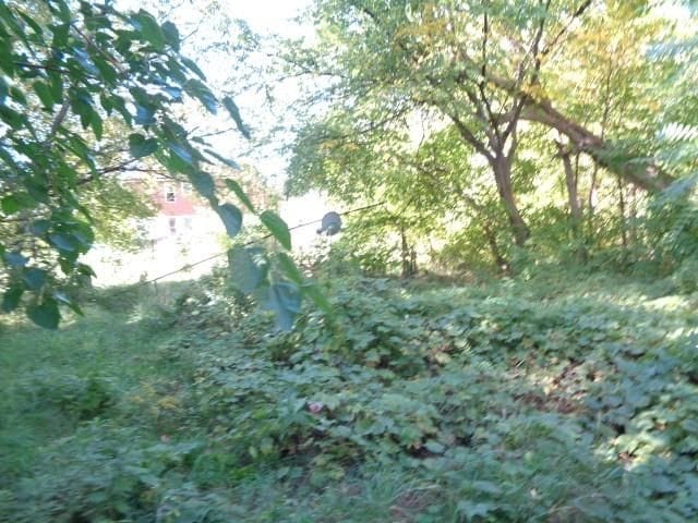 4613 Meldrum St, Detroit, MI 48207 - photo 29