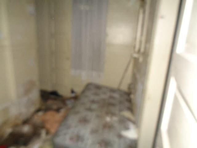 4613 Meldrum St, Detroit, MI 48207 - photo 18