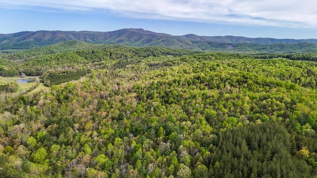 0 Charity Hwy, Woolwine, VA 24185 - photo 12