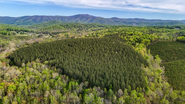 0 Charity Hwy, Woolwine, VA 24185 - photo 4