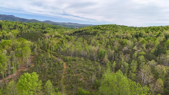0 Charity Hwy, Woolwine, VA 24185 - photo 7
