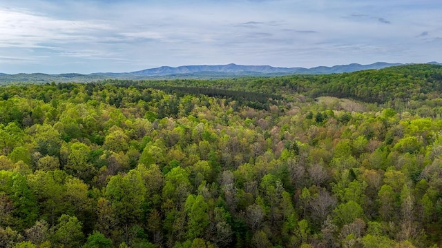 0 Charity Hwy, Woolwine, VA 24185 - photo 21