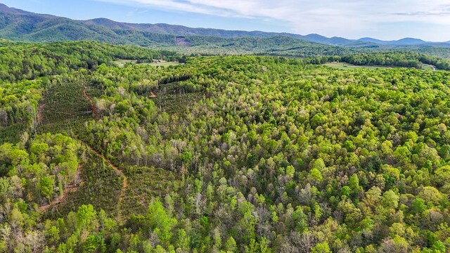 0 Charity Hwy, Woolwine, VA 24185 - photo 8