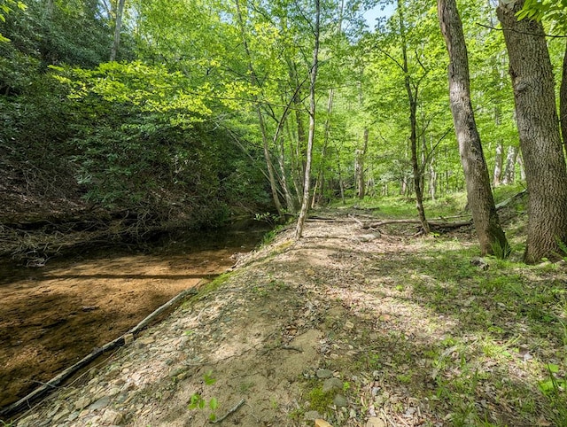 0 Charity Hwy, Woolwine, VA 24185 - photo 15