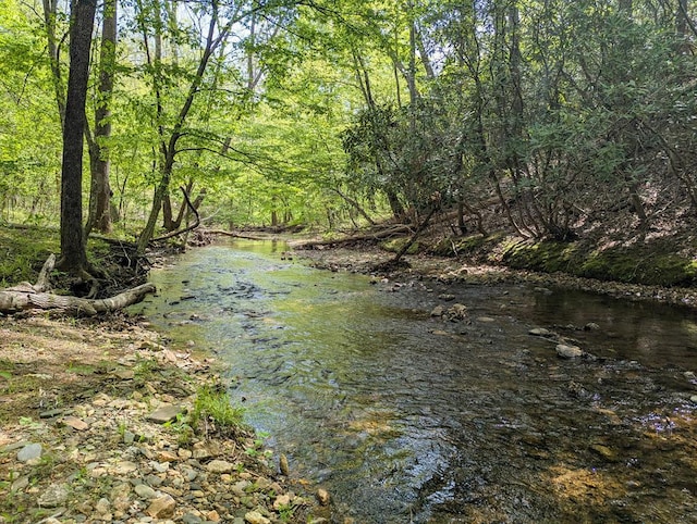 0 Charity Hwy, Woolwine, VA 24185 - photo 2