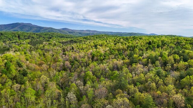0 Charity Hwy, Woolwine, VA 24185 - photo 11