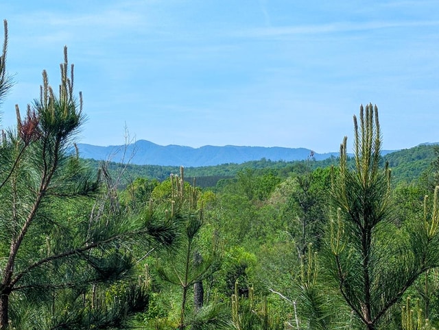0 Charity Hwy, Woolwine, VA 24185 - photo 22
