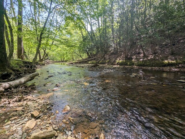 0 Charity Hwy, Woolwine, VA 24185 - photo 3
