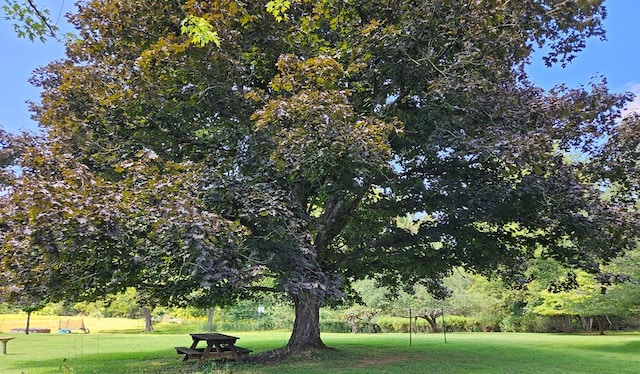 view of community with a lawn