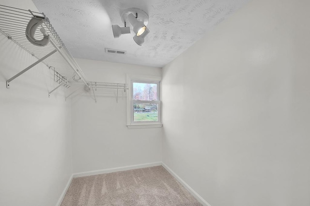 spacious closet featuring carpet flooring