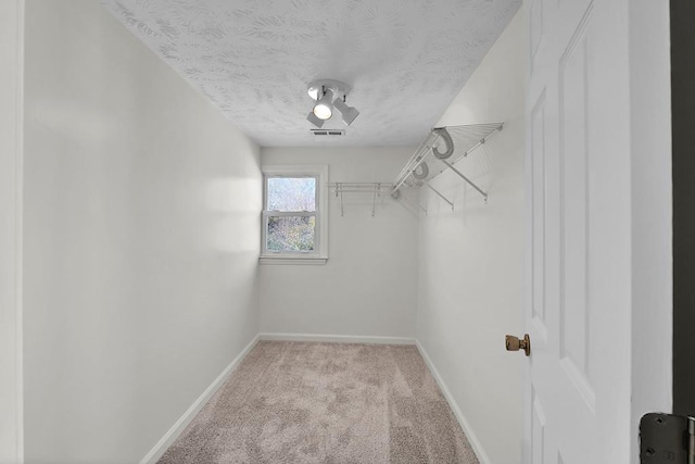 spacious closet featuring light colored carpet