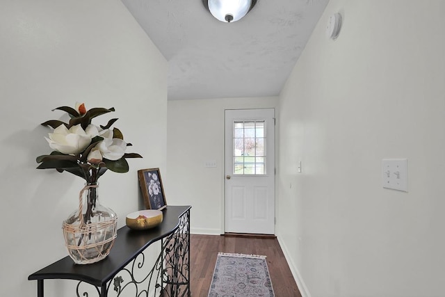 doorway to outside featuring dark hardwood / wood-style flooring