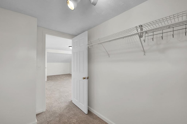 spacious closet featuring light colored carpet