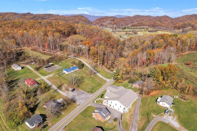 drone / aerial view featuring a mountain view