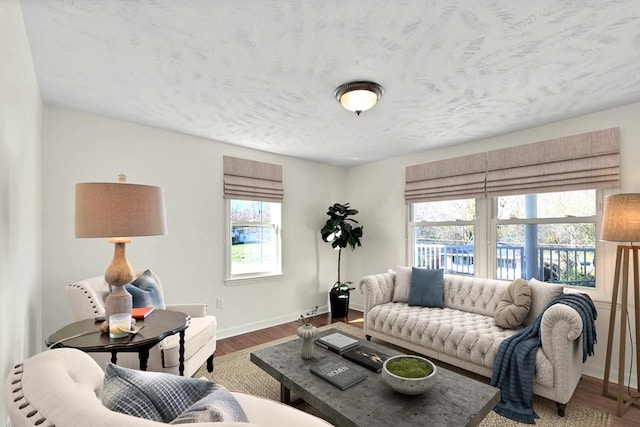 living room featuring hardwood / wood-style flooring and plenty of natural light