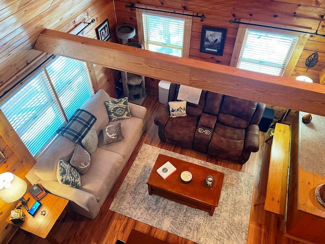 living room featuring a healthy amount of sunlight and wood walls