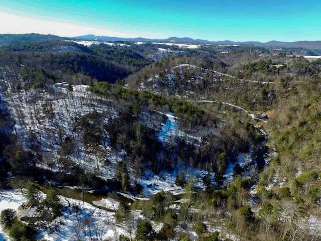 aerial view with a mountain view