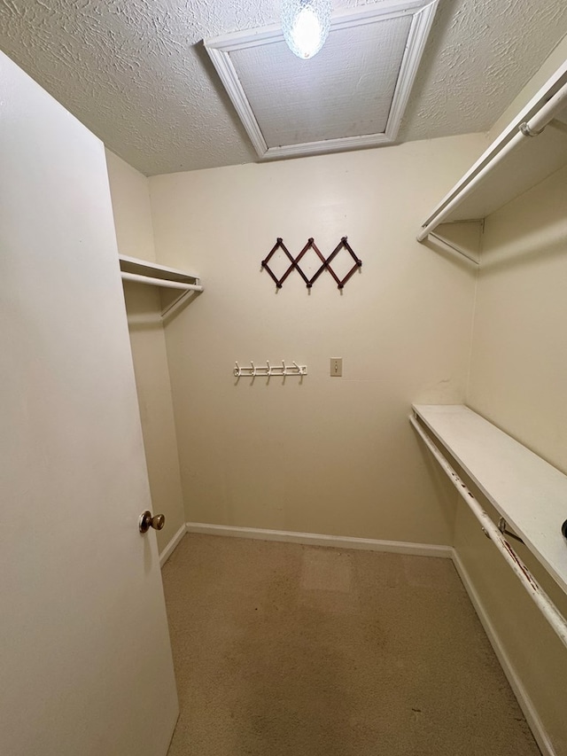 15296 Blueberry Ln, Chilhowie, VA 24319 - spacious closet featuring carpet floors and attic access
