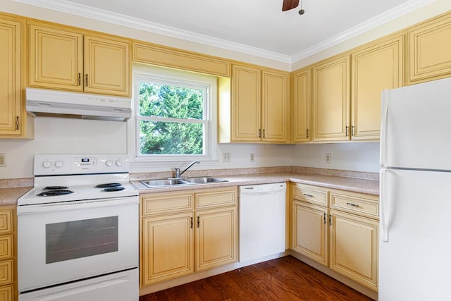 kitchen featuring dark wood-style flooring, white appliances, ornamental molding, under cabinet range hood, and a sink