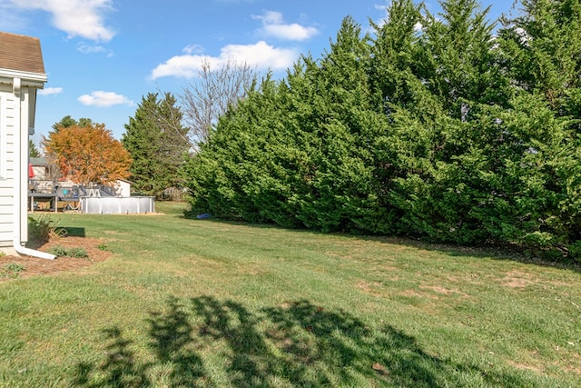 view of yard with a swimming pool