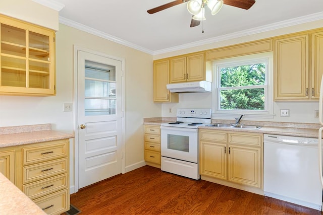 kitchen featuring white appliances, a ceiling fan, under cabinet range hood, a sink, and cream cabinets