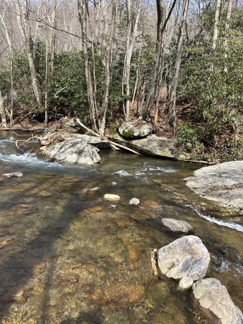 267 Sturgills Rd, Mouth Of Wilson, VA 24363 - photo 99