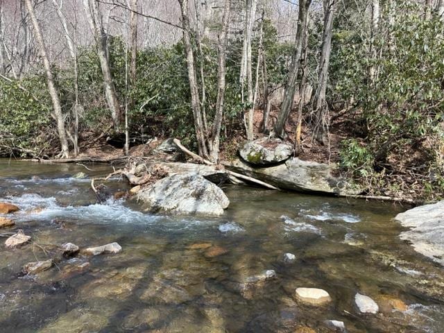 267 Sturgills Rd, Mouth Of Wilson, VA 24363 - photo 92