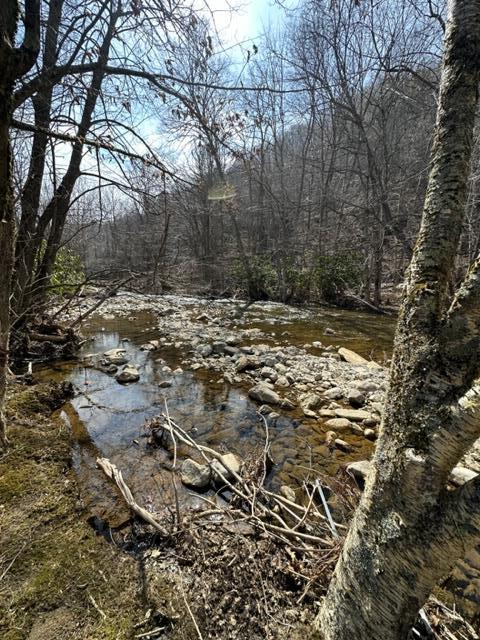 267 Sturgills Rd, Mouth Of Wilson, VA 24363 - photo 74