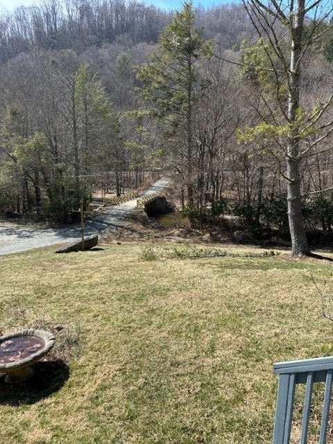 267 Sturgills Rd, Mouth Of Wilson, VA 24363 - photo 43