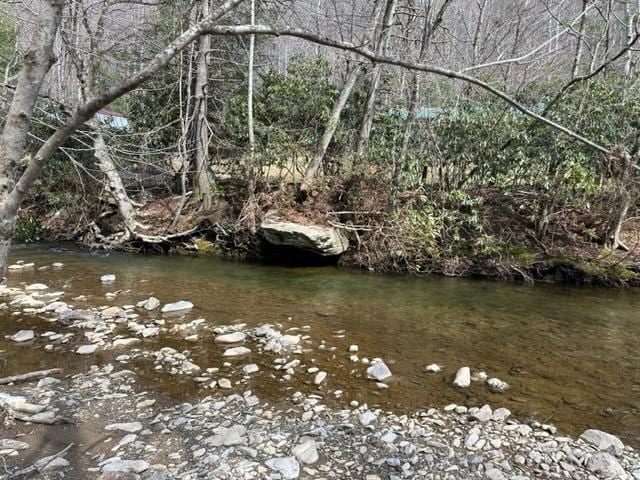 267 Sturgills Rd, Mouth Of Wilson, VA 24363 - photo 87