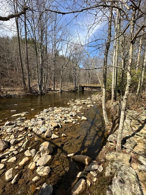 267 Sturgills Rd, Mouth Of Wilson, VA 24363 - photo 75