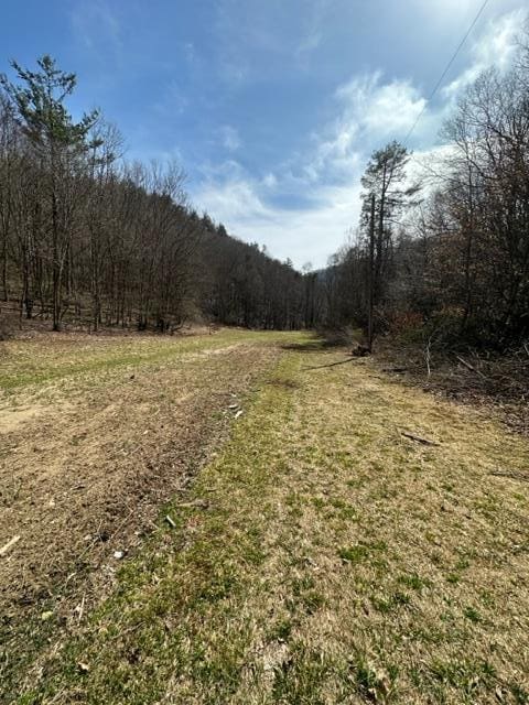 267 Sturgills Rd, Mouth Of Wilson, VA 24363 - photo 78