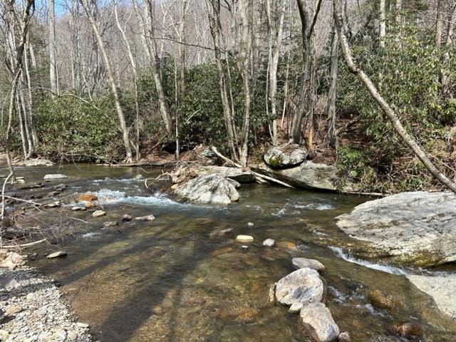 267 Sturgills Rd, Mouth Of Wilson, VA 24363 - photo 91