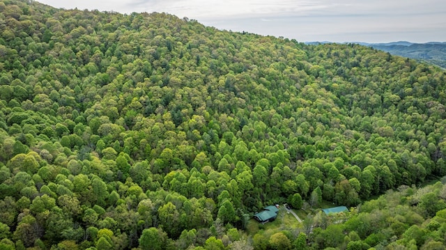 267 Sturgills Rd, Mouth Of Wilson, VA 24363 - photo 9