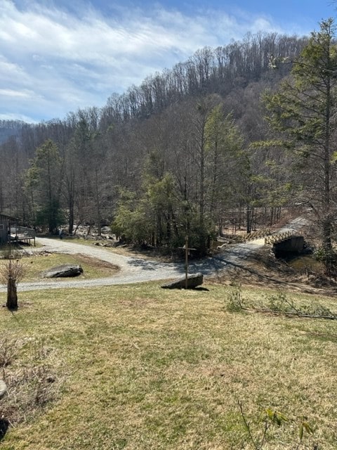 267 Sturgills Rd, Mouth Of Wilson, VA 24363 - photo 93