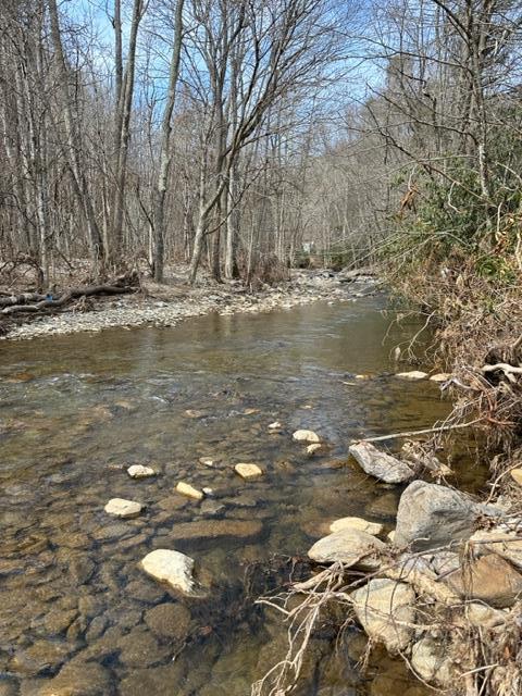 267 Sturgills Rd, Mouth Of Wilson, VA 24363 - photo 84
