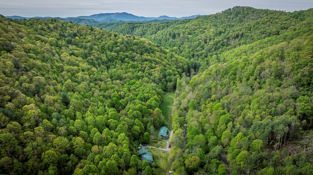 267 Sturgills Rd, Mouth Of Wilson, VA 24363 - photo 11