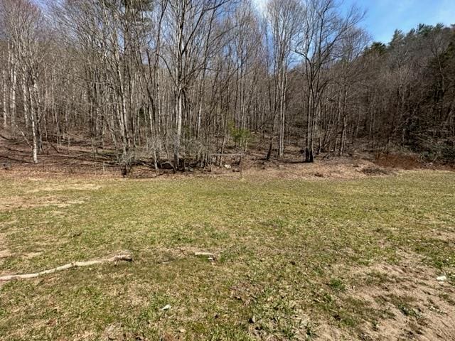 267 Sturgills Rd, Mouth Of Wilson, VA 24363 - photo 79