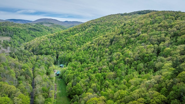 267 Sturgills Rd, Mouth Of Wilson, VA 24363 - photo 8