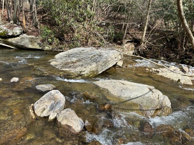 267 Sturgills Rd, Mouth Of Wilson, VA 24363 - photo 98