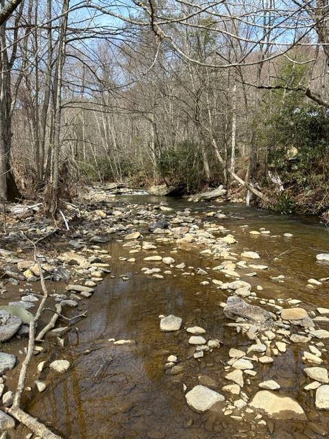 267 Sturgills Rd, Mouth Of Wilson, VA 24363 - photo 88