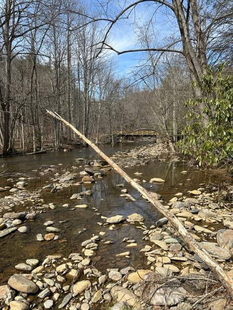 267 Sturgills Rd, Mouth Of Wilson, VA 24363 - photo 82
