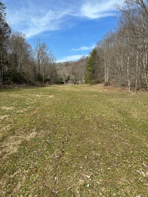 267 Sturgills Rd, Mouth Of Wilson, VA 24363 - photo 80