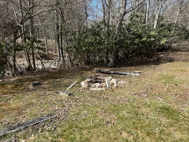267 Sturgills Rd, Mouth Of Wilson, VA 24363 - photo 61