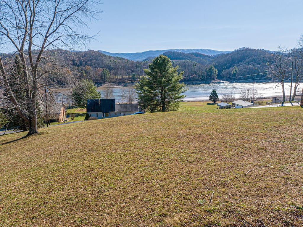 TBD Lakeshore Dr Unit 47, Abingdon, VA 24211 - photo 1