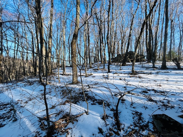 view of snow covered land