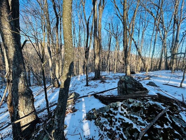 view of snowy yard