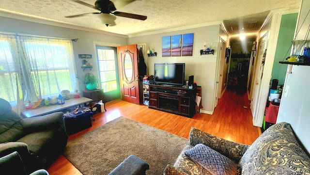living area with a ceiling fan, wood finished floors, and ornamental molding