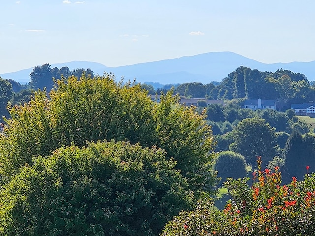 313 Fox Run Dr, Galax, VA 24333 - view of mountain backdrop