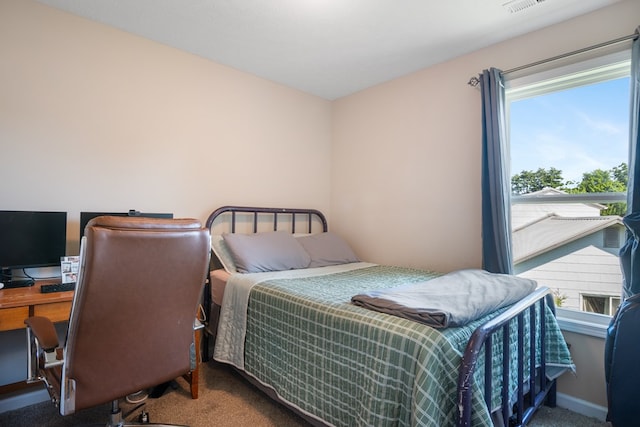 1048 Preston Dr, Radford, VA 24141 - bedroom featuring carpet and an office area